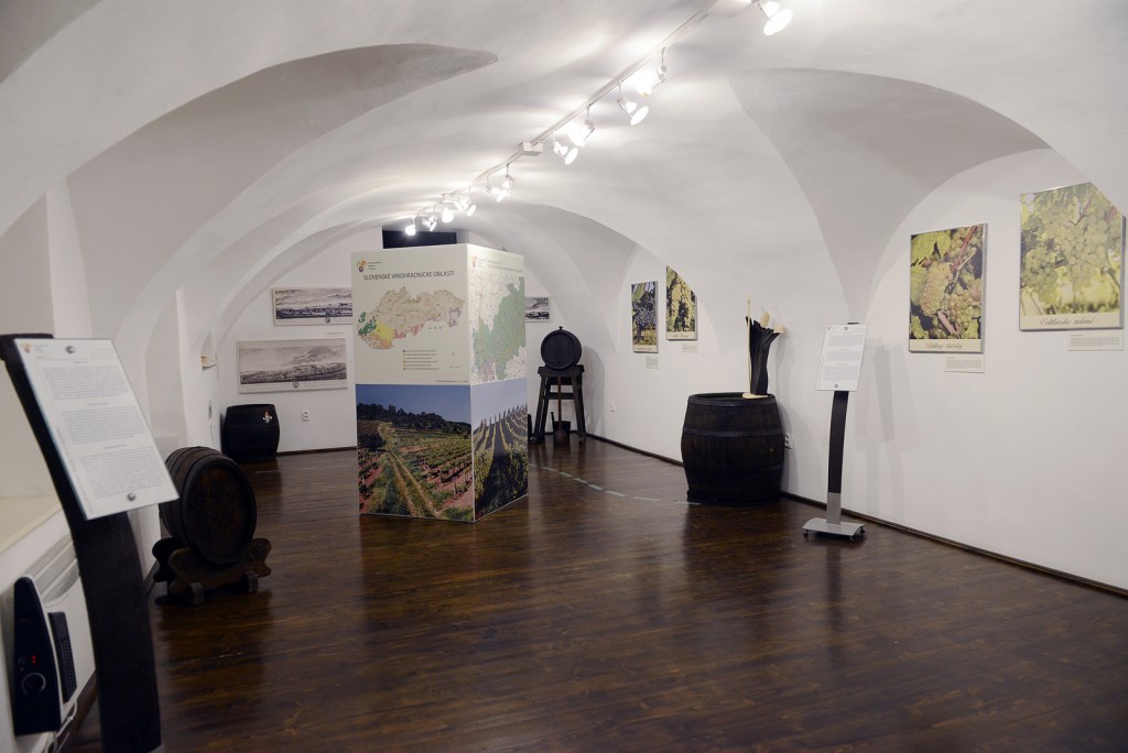 Malokarpatské múzeum v Pezinku