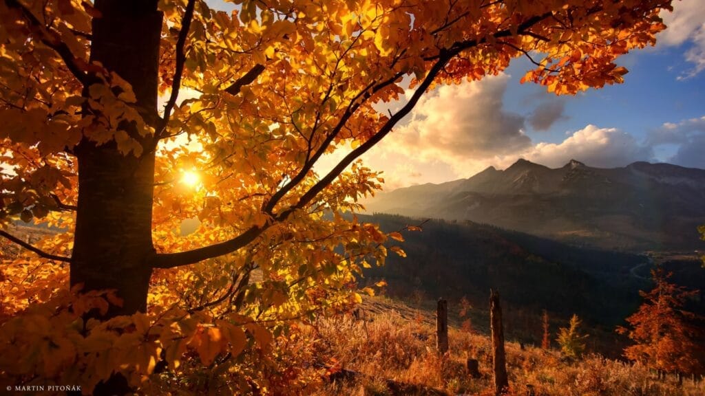 Východ slnka Belianske Tatry
