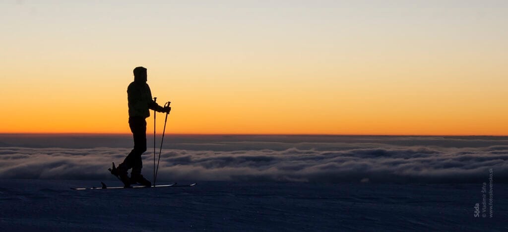 Kralova hola Vlado Sifra