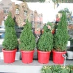 [lnk url="https://www.flickr.com/photos/rubygoes/11432356056/"]Zdroj: Flickr[/lnk]