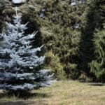 [lnk url="https://www.flickr.com/photos/wildlife_encounters/15190445393/"]Zdroj: Flickr[/lnk]