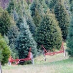 [lnk url="https://www.flickr.com/photos/taedc/6457281037/in/photostream/"]Zdroj: Flickr[/lnk]