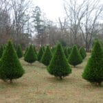 [lnk url="https://www.flickr.com/photos/lknow/8262368694/in/photostream/"]Zdroj: Flickr[/lnk]