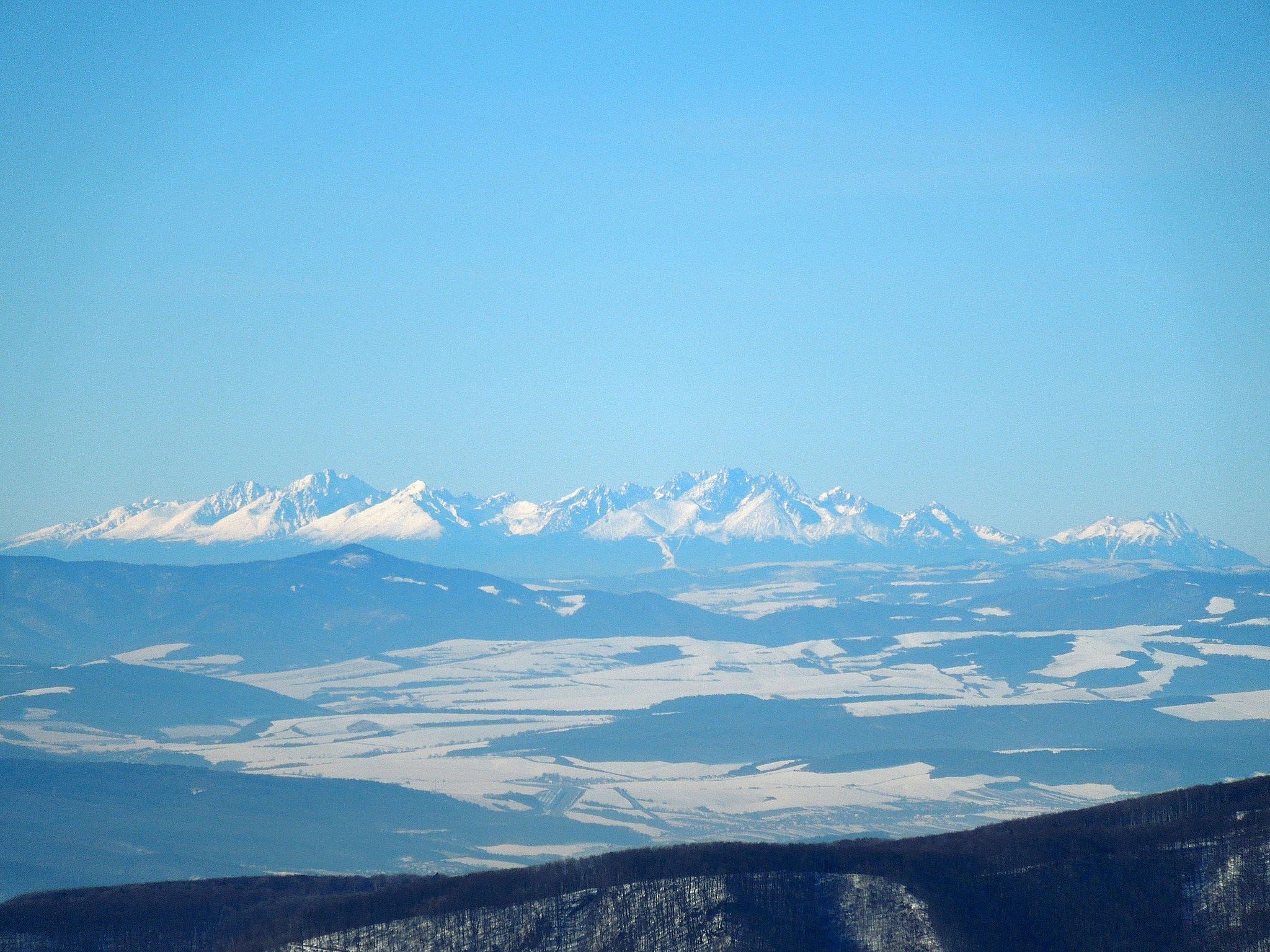 [lnk url="https://upload.wikimedia.org/wikipedia/commons/5/5c/%C5%A0imonka_007.JPG"]Zdroj: Wikipedia CC 2.0, Autor: Milan Bališin[/lnk]