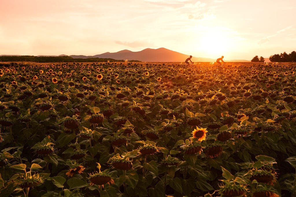 Neďaleko Piešťan nájdete takéto krásne scenérie