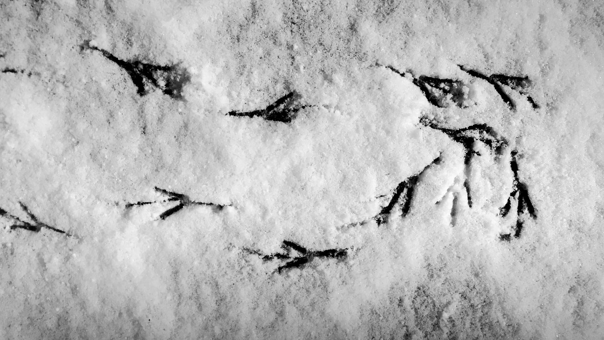 [lnk url="https://www.flickr.com/photos/mgb08/"]Zdroj: Flickr, Autor: Marty Bond[/lnk]