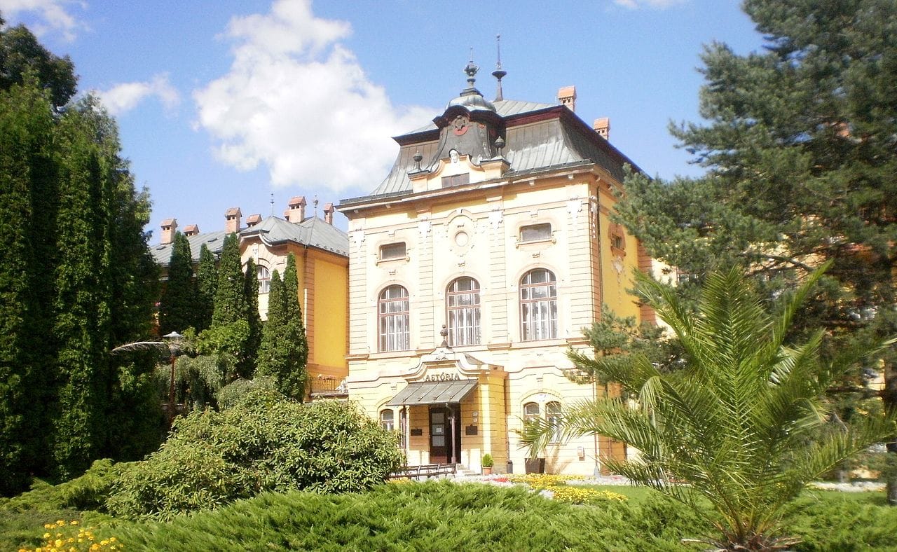 [lnk url="https://commons.wikimedia.org/wiki/File:Ast%C3%B3ria_(Bardejovsk%C3%A9_k%C3%BApele)_6.JPG"]Zdroj: Wikipedia, Autor: J.Dncsn[/lnk]