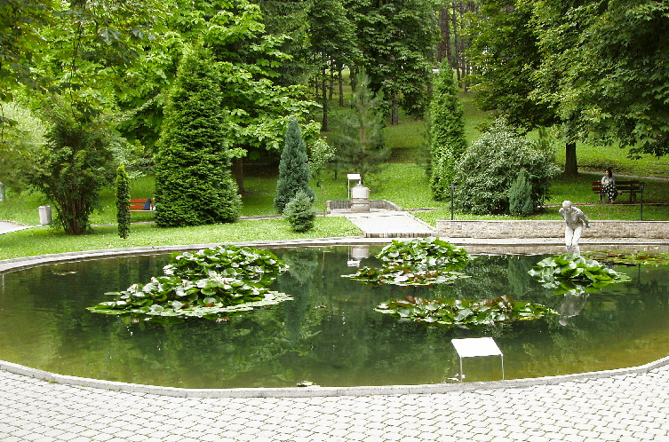 [lnk url="https://commons.wikimedia.org/wiki/File:Kupele_Bojnice_-_jazierko.jpg"]Zdroj: Wikipedia, Autor: Lady Rowena[/lnk]