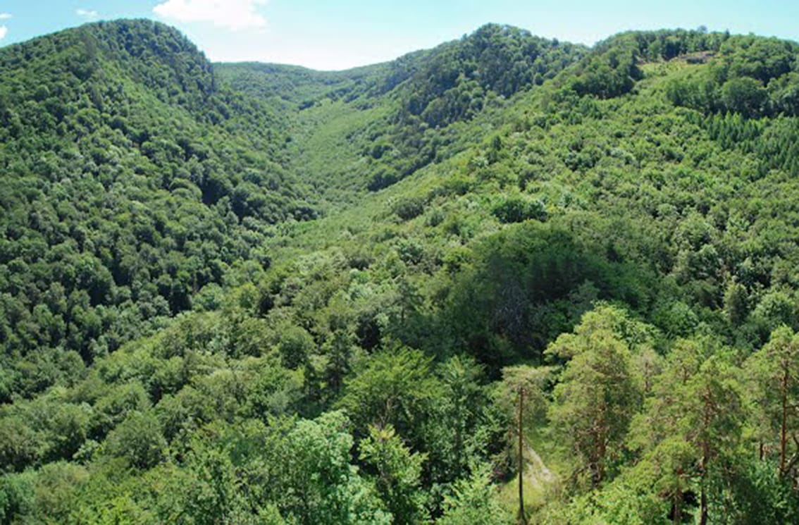 Výhľad na Strážovské vrchy
