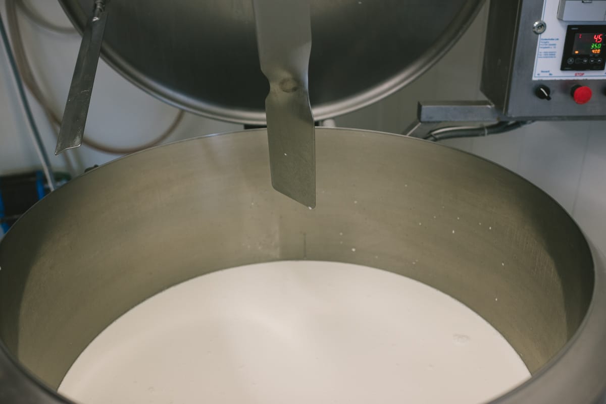 Pasterová vaňa na výrobu syra