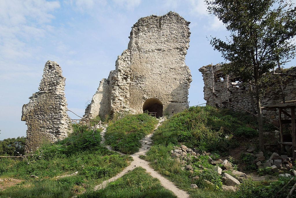 Viniansky hrad