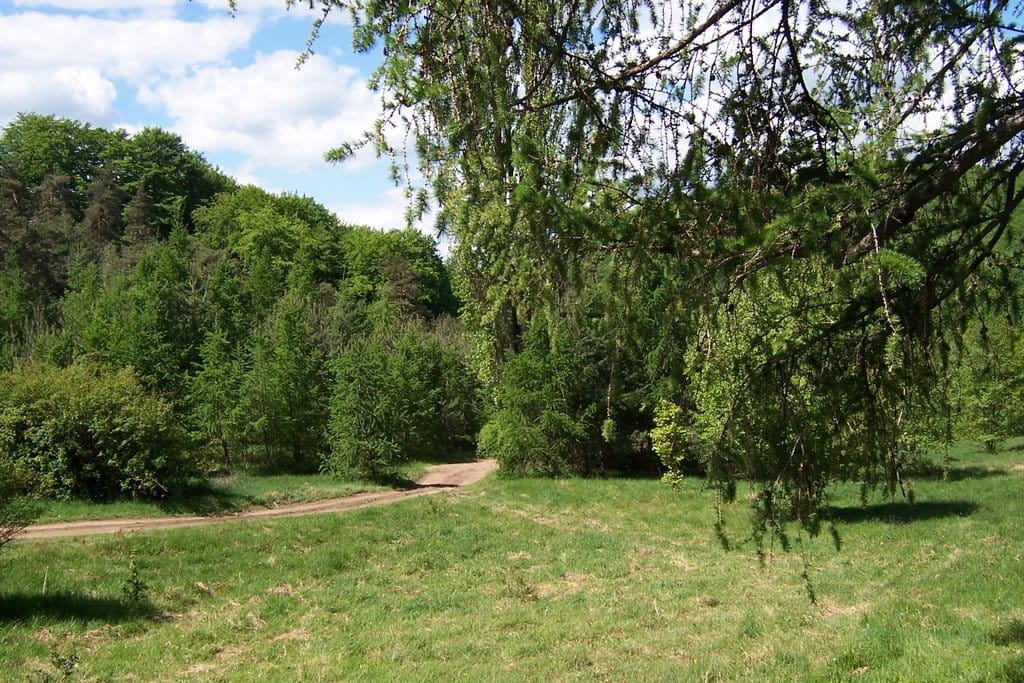Šutovské sedlo