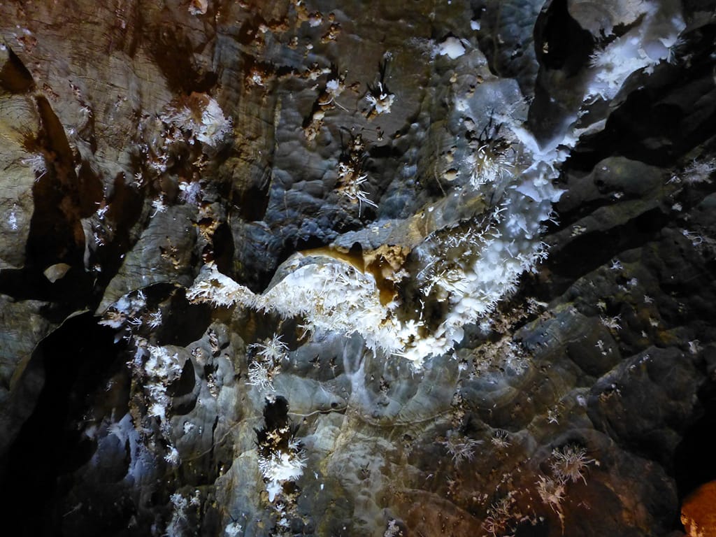 [lnk url="https://www.flickr.com/photos/53113704@N03/21838513525/"]Zdroj: Flickr, Autor: Traveltipy[/lnk]